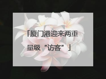 厦门港迎来两重量级“访客”