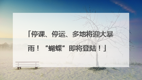 停课、停运、多地将迎大暴雨！“蝴蝶”即将登陆！