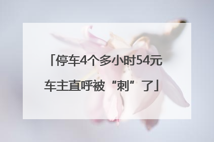 停车4个多小时54元 车主直呼被“刺”了