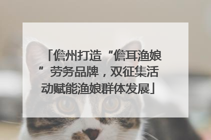 儋州打造“儋耳渔娘”劳务品牌，双征集活动赋能渔娘群体发展