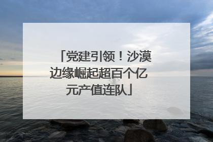 党建引领！沙漠边缘崛起超百个亿元产值连队