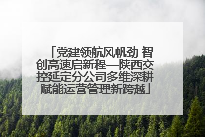 党建领航风帆劲 智创高速启新程—陕西交控延定分公司多维深耕赋能运营管理新跨越