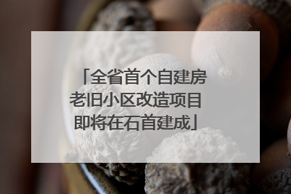 全省首个自建房老旧小区改造项目即将在石首建成