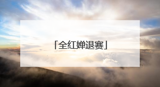 全红婵退赛