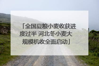 全国夏粮小麦收获进度过半 河北冬小麦大规模机收全面启动