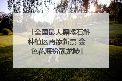 全国最大黑喉石斛种植区再添新景 金色花海扮靓龙陵