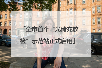 全市首个“光储充放检”示范站正式启用