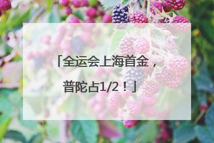 全运会上海首金，普陀占1/2！