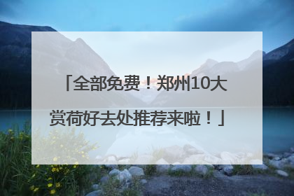全部免费！郑州10大赏荷好去处推荐来啦！