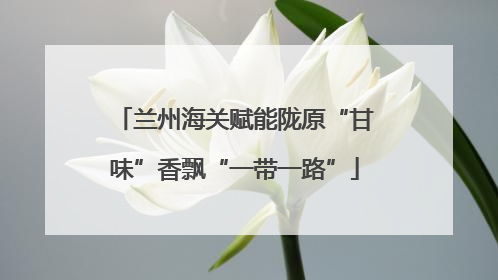 兰州海关赋能陇原“甘味”香飘“一带一路”
