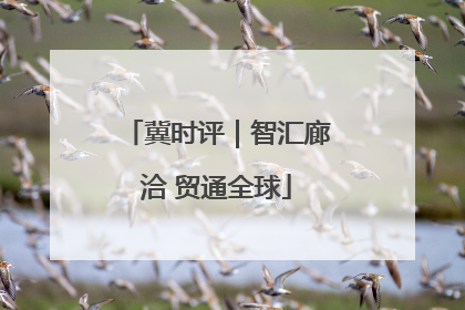 冀时评｜智汇廊洽 贸通全球