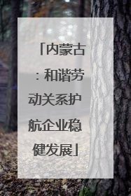 内蒙古：和谐劳动关系护航企业稳健发展