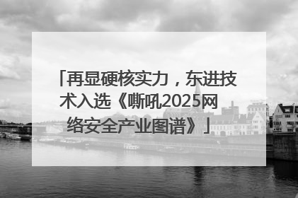 再显硬核实力，东进技术入选《嘶吼2025网络安全产业图谱》