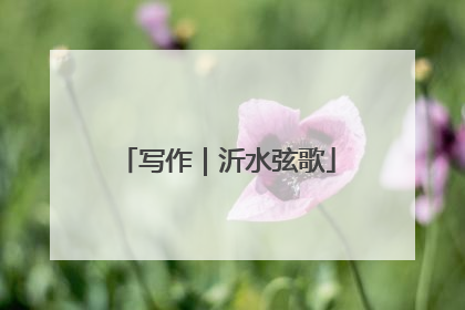 写作｜沂水弦歌