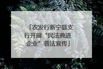 农发行新宁县支行开展“民法典进企业”普法宣传