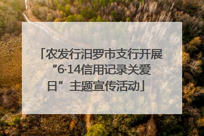 农发行汨罗市支行开展“6·14信用记录关爱日”主题宣传活动