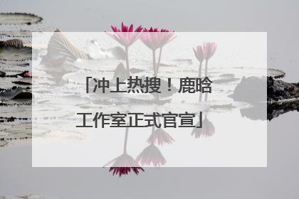冲上热搜！鹿晗工作室正式官宣