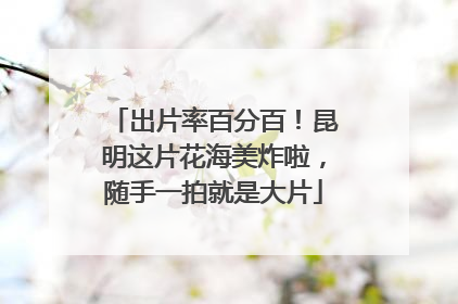 出片率百分百！昆明这片花海美炸啦，随手一拍就是大片
