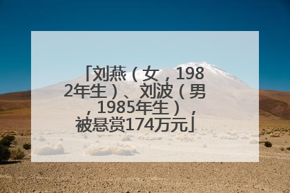 刘燕（女，1982年生）、刘波（男，1985年生），被悬赏174万元