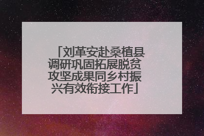 刘革安赴桑植县调研巩固拓展脱贫攻坚成果同乡村振兴有效衔接工作