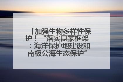 加强生物多样性保护！“落实昆蒙框架：海洋保护地建设和南极公海生态保护”主题论坛将举办