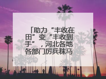 助力“丰收在田”变“丰收到手”，河北各地各部门厉兵秣马迎战“三夏”