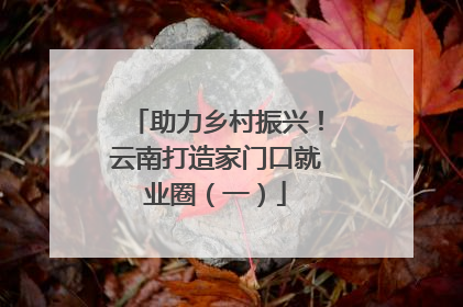 助力乡村振兴！云南打造家门口就业圈（一）