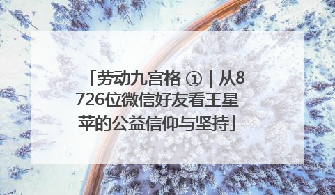 劳动九宫格 ①｜从8726位微信好友看王星苹的公益信仰与坚持