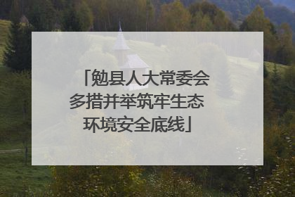 勉县人大常委会多措并举筑牢生态环境安全底线