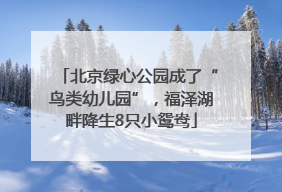北京绿心公园成了“鸟类幼儿园”，福泽湖畔降生8只小鸳鸯