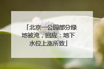 北京一公园部分绿地被淹，回应：地下水位上涨所致