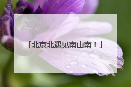 北京北遇见南山南！