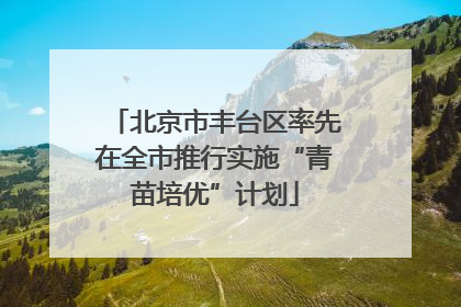 北京市丰台区率先在全市推行实施“青苗培优”计划