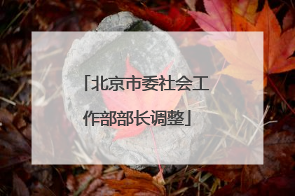 北京市委社会工作部部长调整