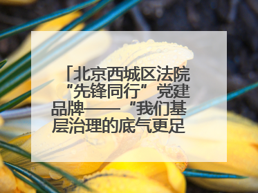 北京西城区法院“先锋同行”党建品牌——“我们基层治理的底气更足了！”
