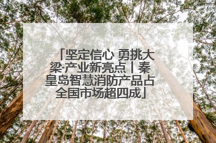坚定信心 勇挑大梁·产业新亮点丨秦皇岛智慧消防产品占全国市场超四成