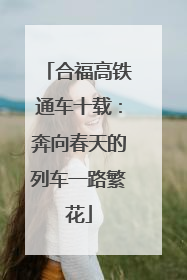 合福高铁通车十载：奔向春天的列车一路繁花
