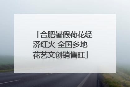 合肥暑假荷花经济红火 全国多地花艺文创销售旺
