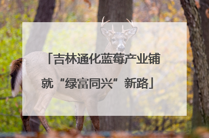 吉林通化蓝莓产业铺就“绿富同兴”新路
