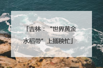 吉林：“世界黄金水稻带”上插秧忙
