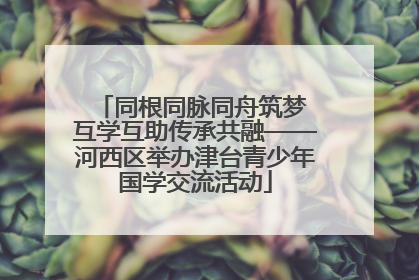 同根同脉同舟筑梦 互学互助传承共融——河西区举办津台青少年国学交流活动