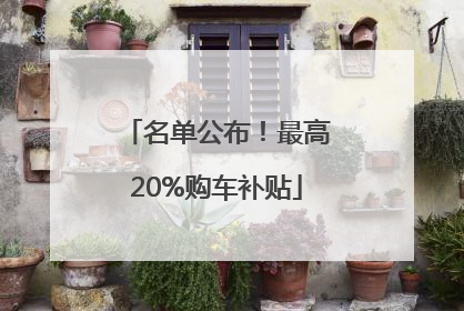 名单公布！最高20%购车补贴