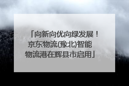 向新向优向绿发展！京东物流(豫北)智能物流港在辉县市启用