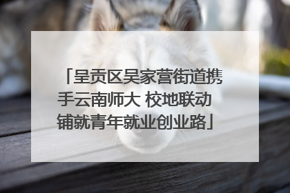 呈贡区吴家营街道携手云南师大 校地联动铺就青年就业创业路