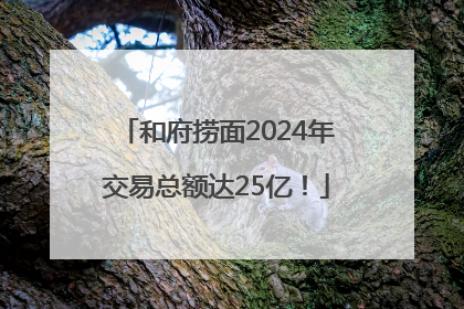 和府捞面2024年交易总额达25亿！