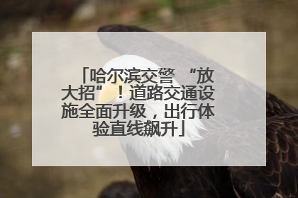 哈尔滨交警 “放大招”！道路交通设施全面升级，出行体验直线飙升