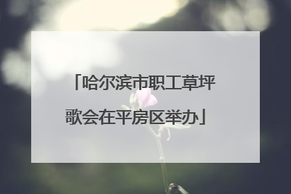 哈尔滨市职工草坪歌会在平房区举办