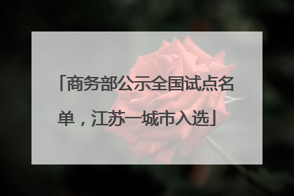 商务部公示全国试点名单，江苏一城市入选