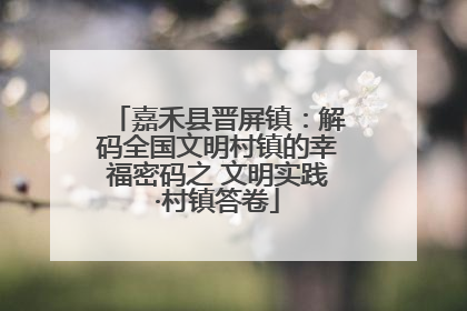 嘉禾县晋屏镇：解码全国文明村镇的幸福密码之 文明实践·村镇答卷
