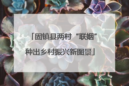 固镇县两村“联姻”种出乡村振兴新图景